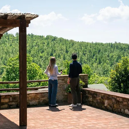 Fonte De' Medici San Casciano in Val di Pesa