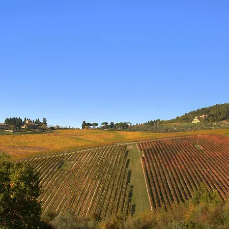 Fonte De' Medici San Casciano in Val di Pesa